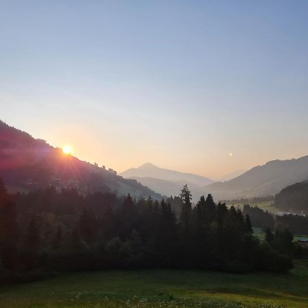 Ferienwohnung Zauberwinkelweg Mit Traum-Aussicht! Wildschoenau Exteriör bild
