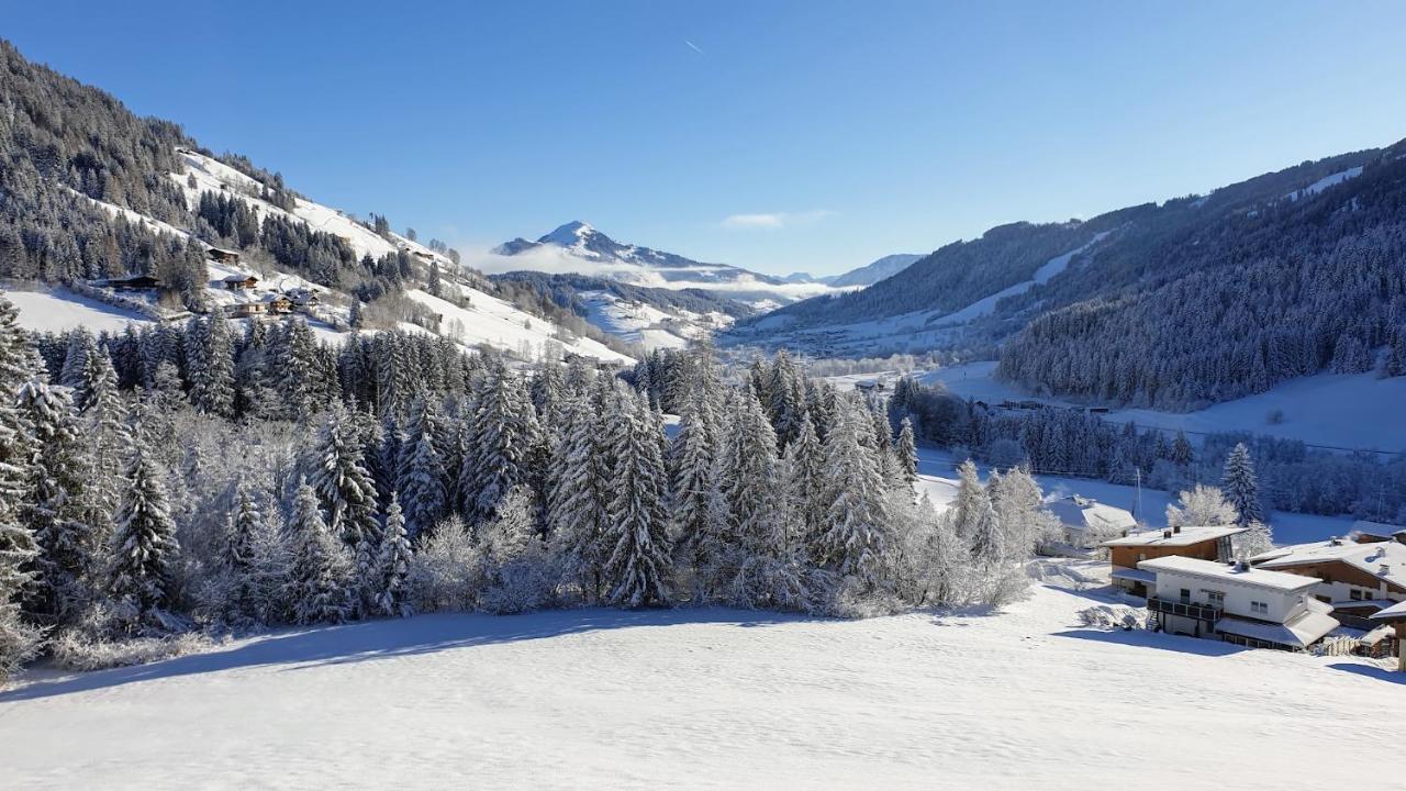 Ferienwohnung Zauberwinkelweg Mit Traum-Aussicht! Wildschoenau Exteriör bild
